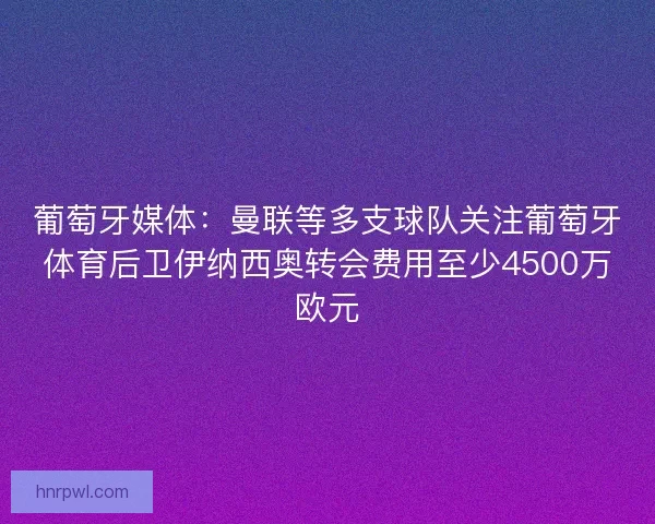 葡萄牙媒体：曼联等多支球队关注葡萄牙体育后卫伊纳西奥转会费用至少4500万欧元