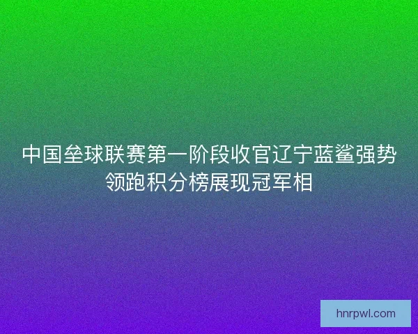 中国垒球联赛第一阶段收官辽宁蓝鲨强势领跑积分榜展现冠军相
