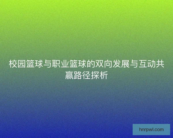 校园篮球与职业篮球的双向发展与互动共赢路径探析